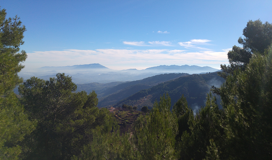 Entre las actuaciones destacan las relativas a restauración forestal y las de eficiencia energética en viviendas, hospitales o centros educativos.