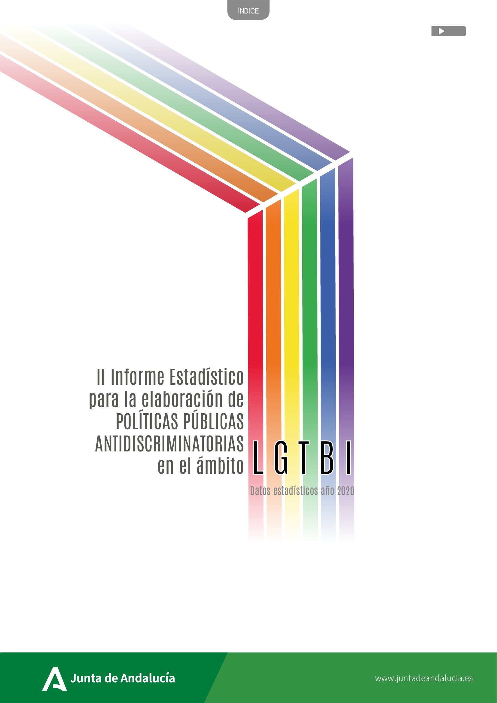 II Informe estadístico para la elaboración de políticas públicas antidiscriminatorias en el ámbito LGTBI