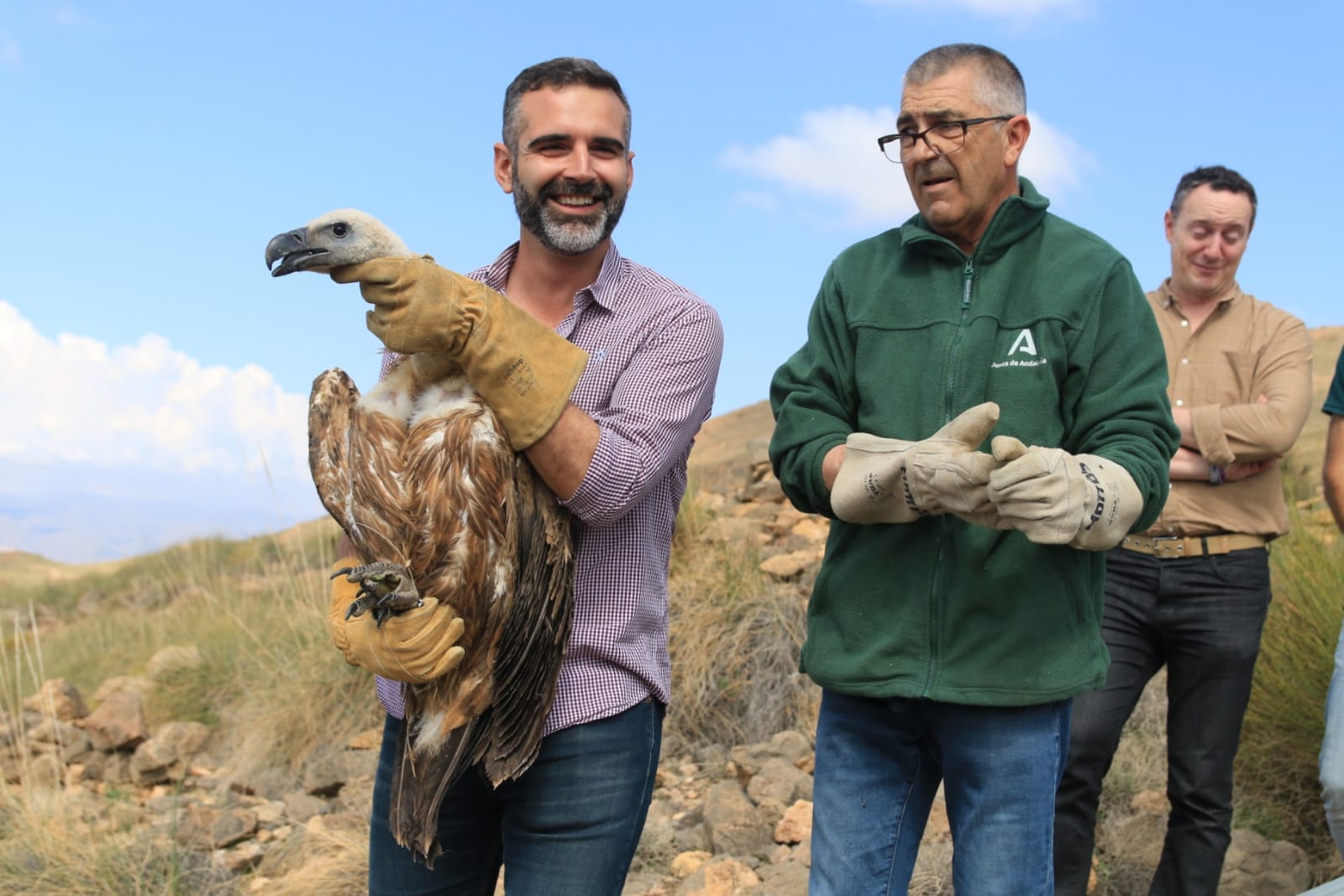 Ramón Fernández-Pacheco libera al buitre leonado rescatado en el centro de Almería.