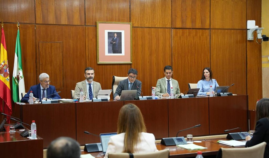 Fernández-Pacheco interviene en comisión parlamentaria