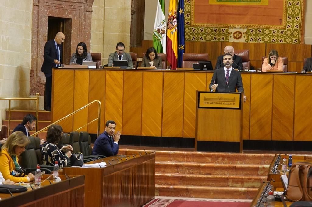 El consejero de Sostenibilidad, Fernández-Pacheco, en comparecencia parlamentaria.