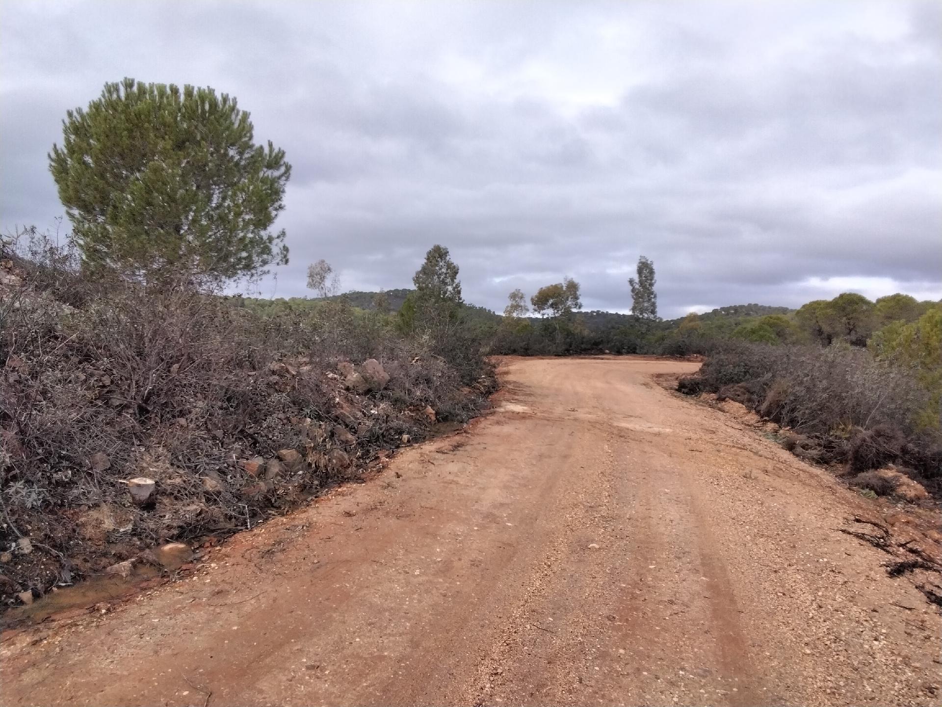 Camino forestal en em término municipal de El Granado (Huelva).