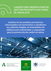 Análisis de las medidas preventivas relacionadas con lucernarios y claraboyas en cubiertas frágiles no transitables en edificaciones industriales y propuestas para la prevención de caídas de altura