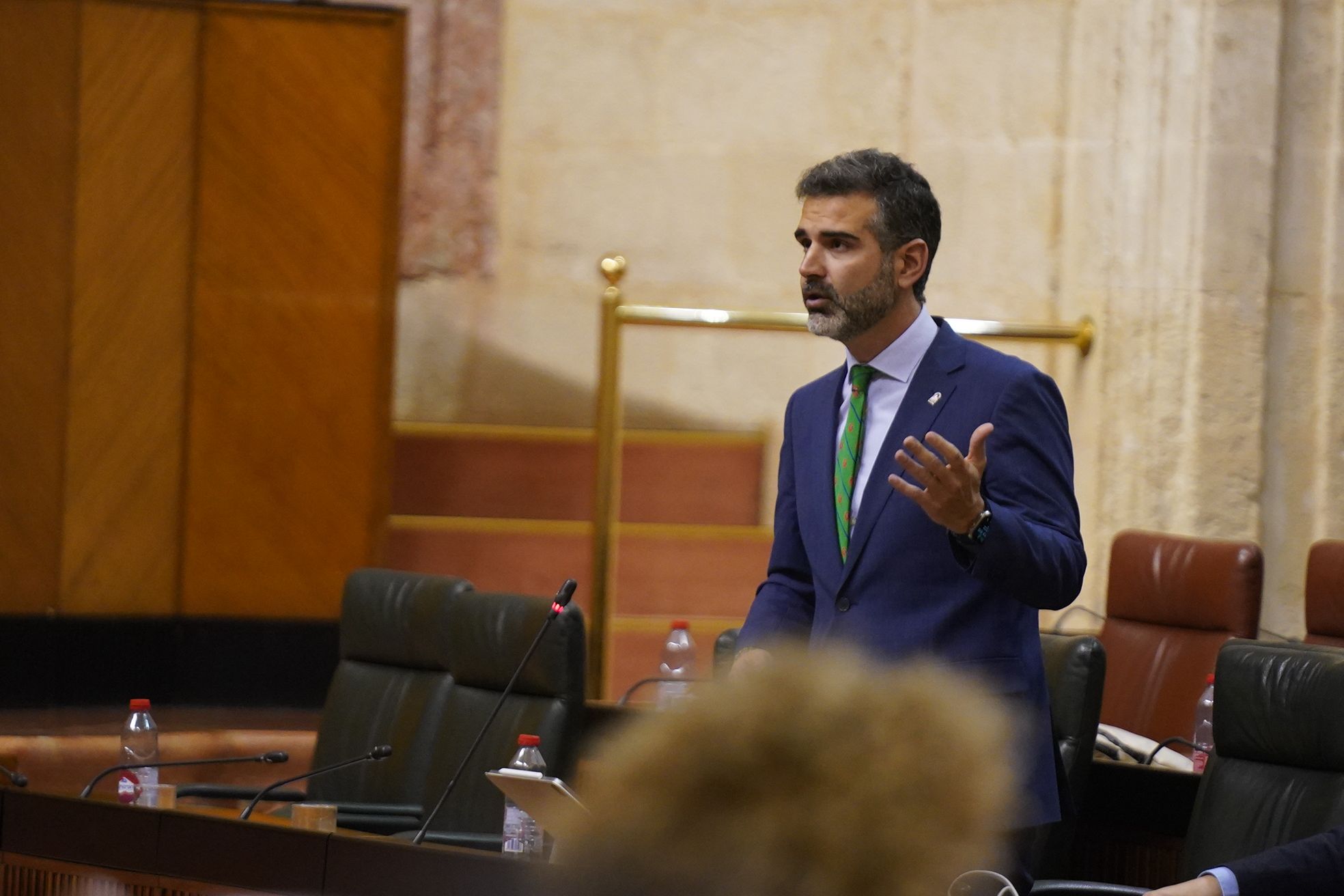 El consejero de Sostenibilidad, Ramón Fernández-Pacheco.