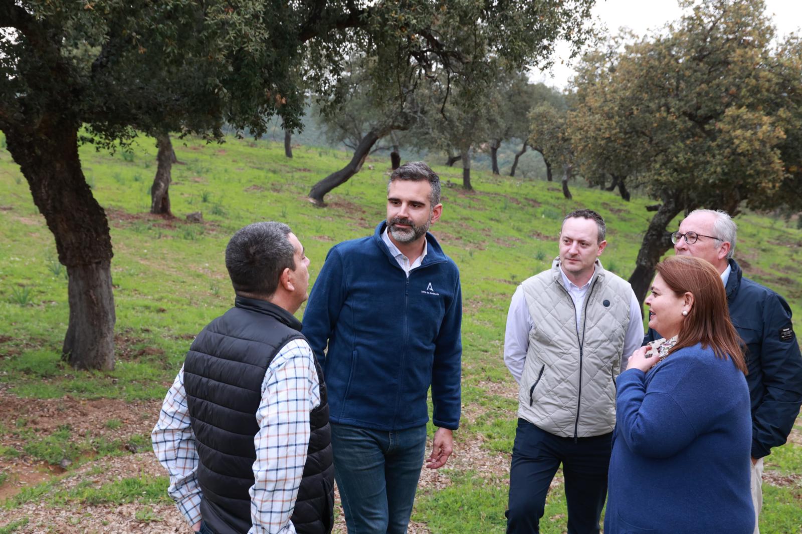 Fernández-Pacheco visita los trabajos previos del descorche en la Sierra Morena de Sevilla