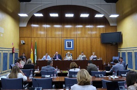 El consejo Arturo Bernal interviniendo en Comisión Parlamentaria