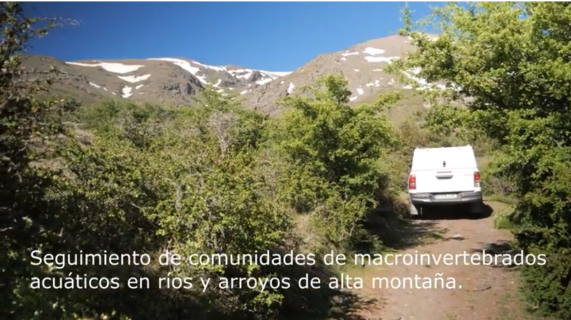 Muestreos de ríos de alta montaña del Observatorio de Cambio...