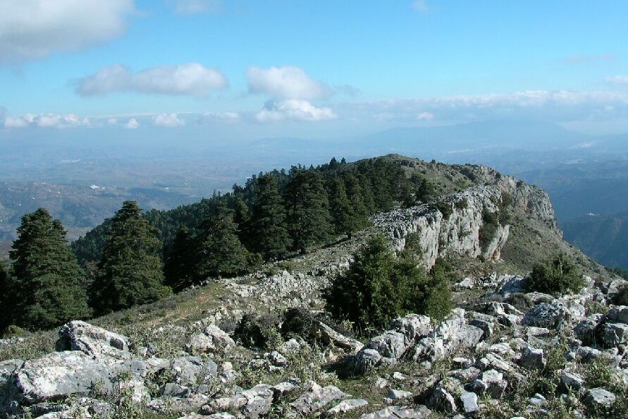 Sierra de las Nieves