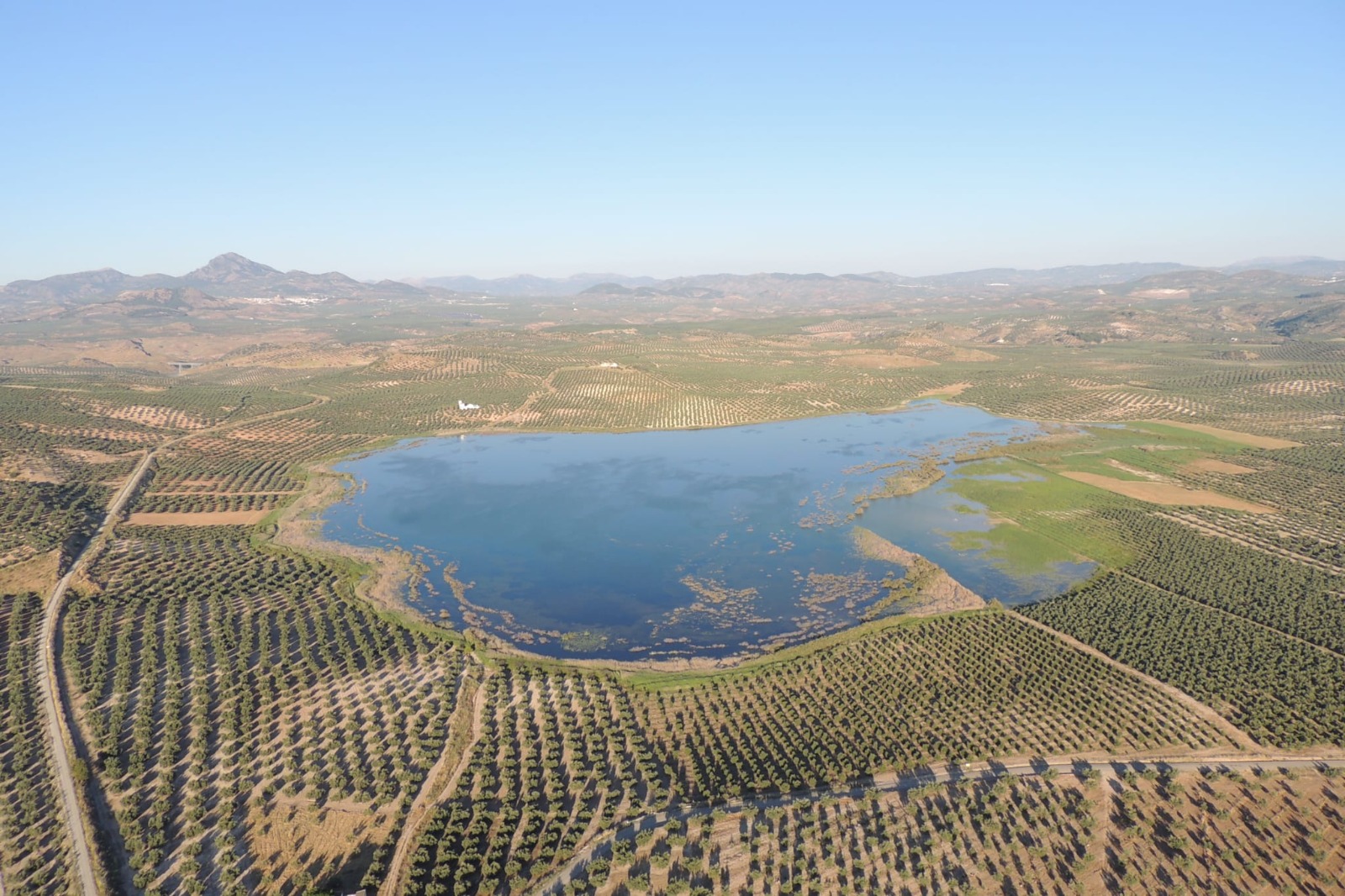 Laguna del Conde o Salobral, en Luque (Córdoba).