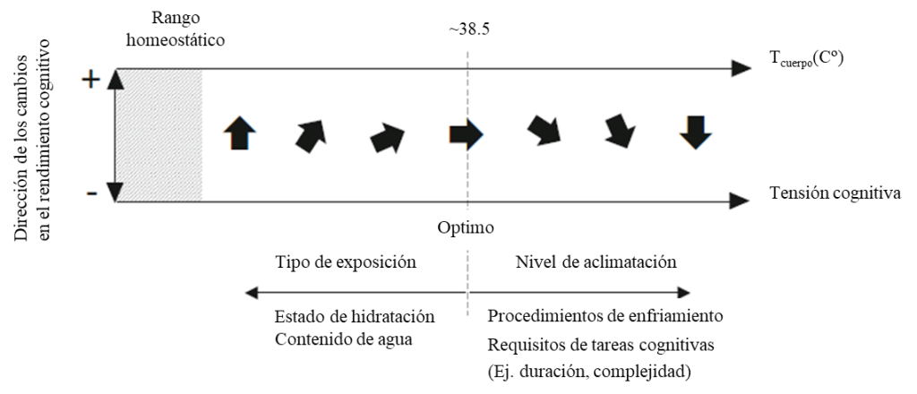 Representación esquemática del rendimiento cognitivo relacionado con el calor (Elaboración propia)