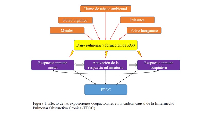 Humo de tabaco ambiental