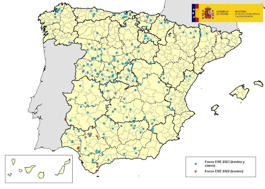 Mapa de situación actualizada a 18/10/2023 de la Enfermedad Hemorrágica Epizoótica