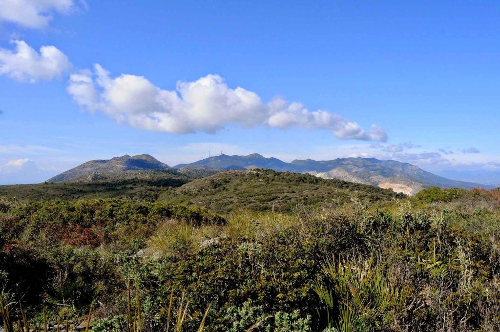 Monte Jabalcuza