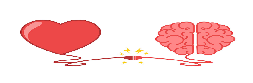 Dibujo de corazón y cerebro conectados por un cable