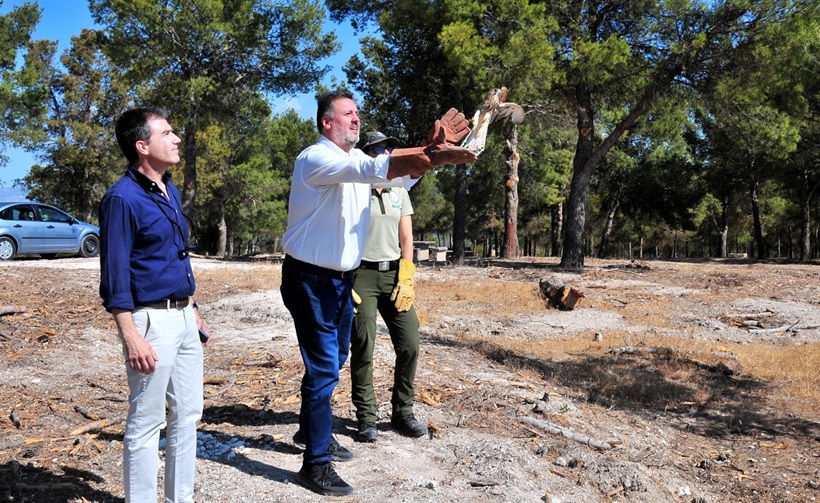 Suelta cernícalo en Parque Periurbano Dehesa de Santa Fe (Granada)